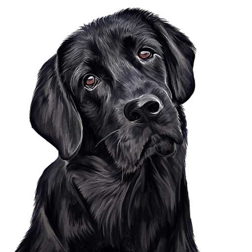Transparent Dog